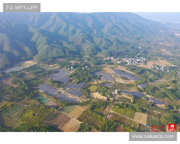 尊龙集团在绿色经济中的实践与成功案例分享