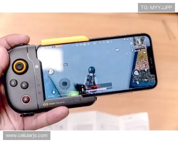 掌握尊龙Z6登录下载的秘密，让你的游戏之旅更加顺畅