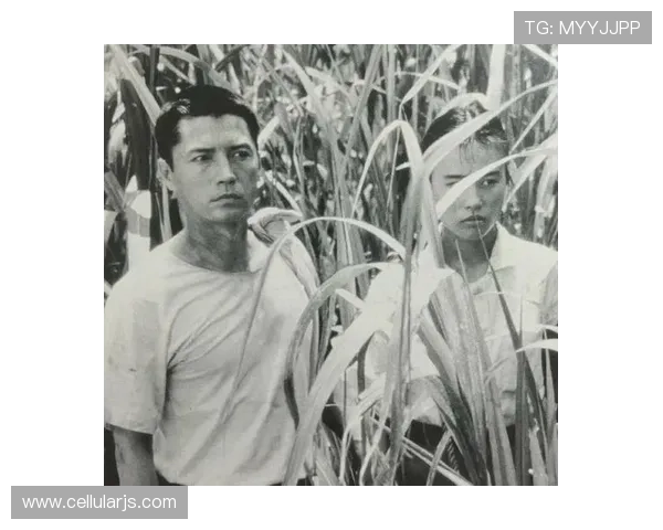 尊龙：个人生活与职业发展的双重精彩展现