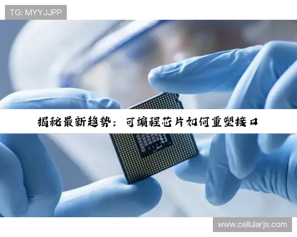 尊龙z6手机版下载详细教程，轻松掌握游戏操作技巧与最新版本更新内容