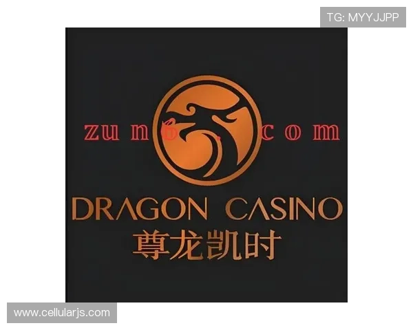 尊龙凯时百家乐官网安全可靠,保障玩家资金与个人信息安全,打造放心的线上娱乐体验 尊龙凯时百家乐官网安全可靠,保障玩家资金与个人信息安全,打造放心的线上娱乐体验