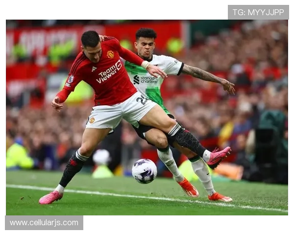 金龙体育直播平台提供高清流畅的赛事直播服务，满足体育迷的多样化观看需求